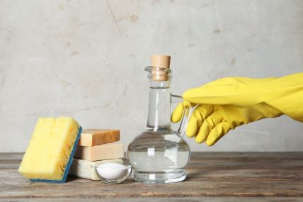 6 najboljih načina za najlakše čišćenje pećnice